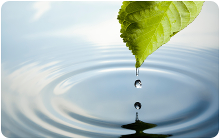 Clean Water - Treatment Plant Servicing